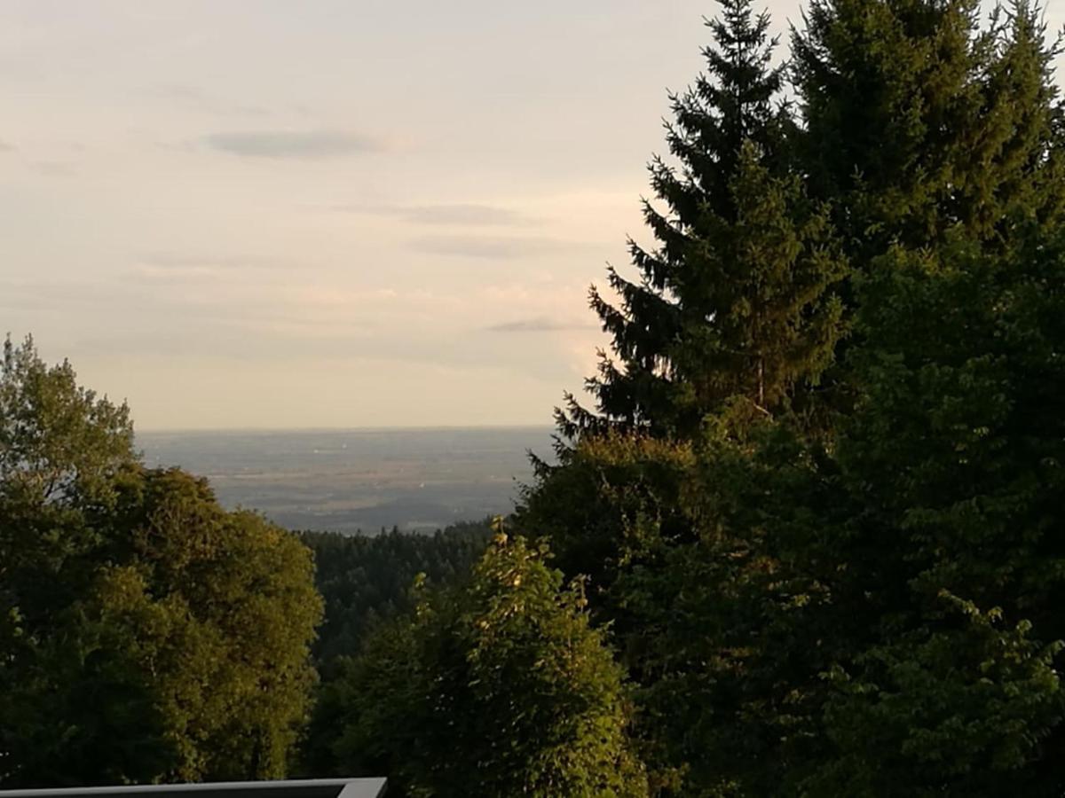 Top Appartment Mit Weitblick Und Late Check-Out Inklusive Aktivcard Санкт-Энгльмар Экстерьер фото